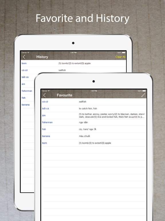 Screenshot #6 pour Vietnamese English Dictionary*