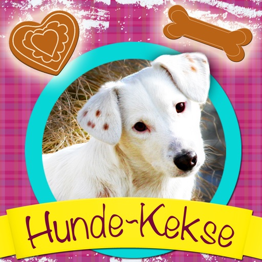 Hundekekse - Rezepte für Hunde icon