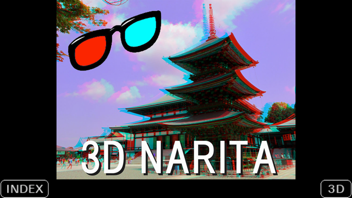 3D Photo Book 3D-NARITA