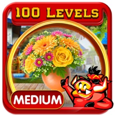 Activities of Hurry Home Hidden Objects Game