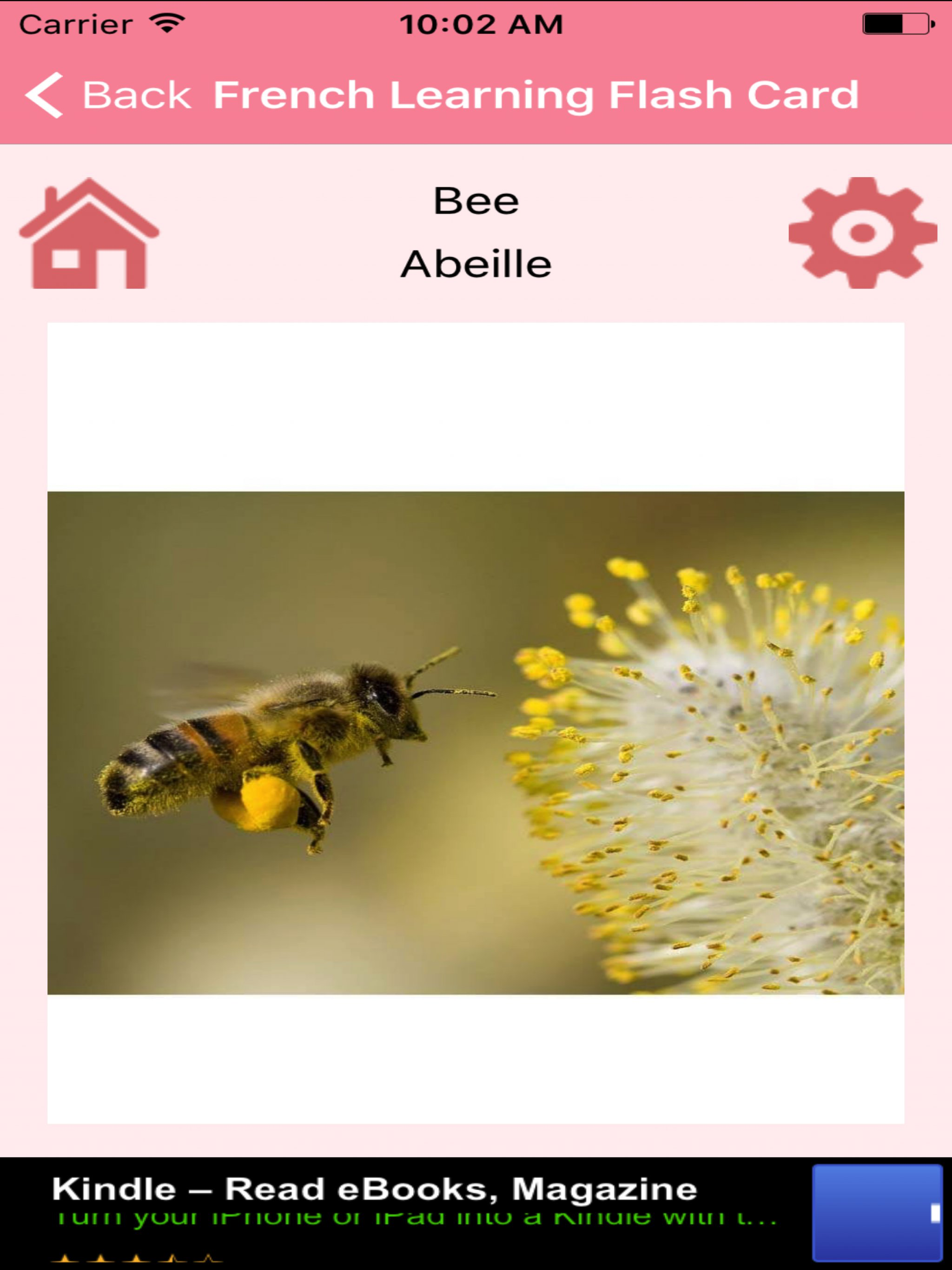 French Learning Flash Card screenshot 8