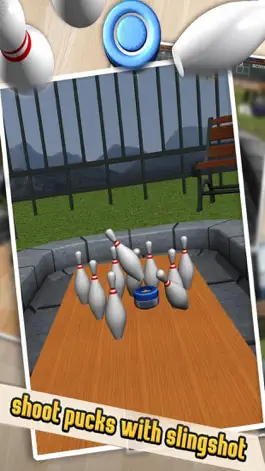 Game screenshot Outdoor Bowling Shuffle apk