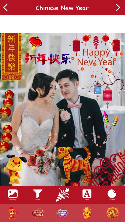 Chinese New Year Photo Editor