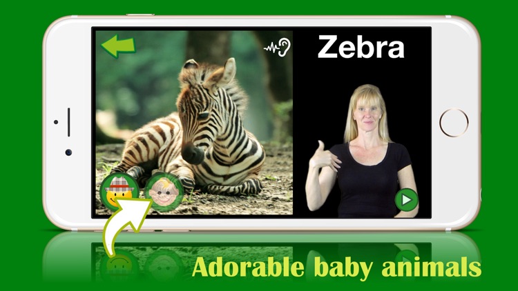 ASL Animals - Lite screenshot-4
