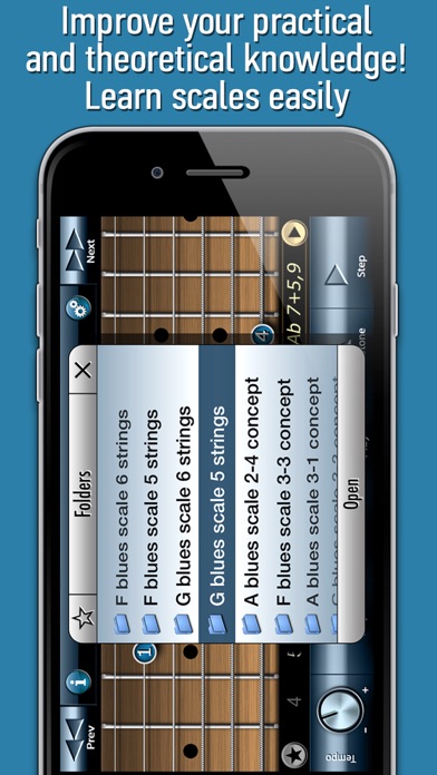 Screenshot #2 pour Bluesman Guitar Scales