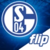 Schalke 04 Flip