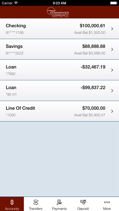 Downriver Credit Union screenshot 3
