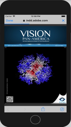 VISION PAN-AMERICA(圖3)-速報App