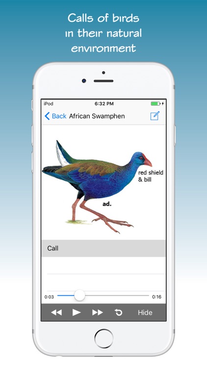 Sasol eBirds