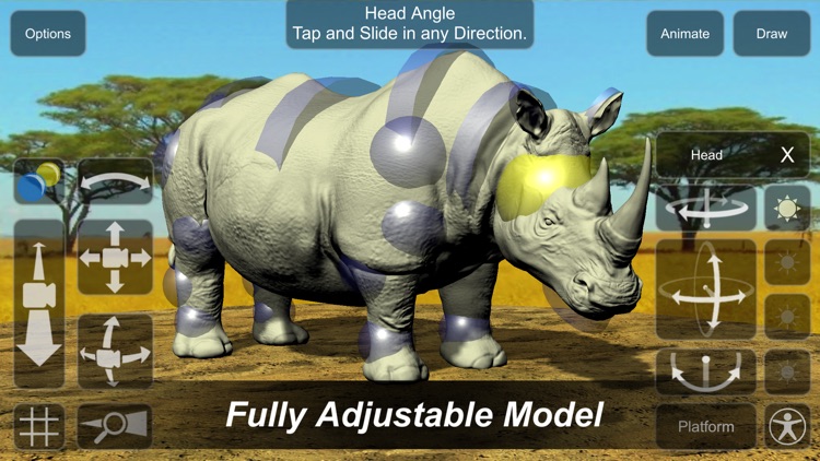 Rhinoceros Mannequin