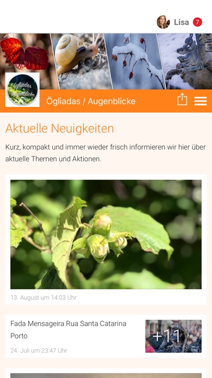 Ögliadas / Augenblicke