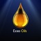 Exxo Oils Distribution Enterprise is a business corporate body, in the energy sector that offers a profitable opportunity by creating long-time links between buyers and sellers in the crude oil market
