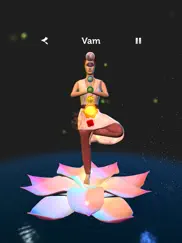 chakra meditation lite ipad resimleri 2