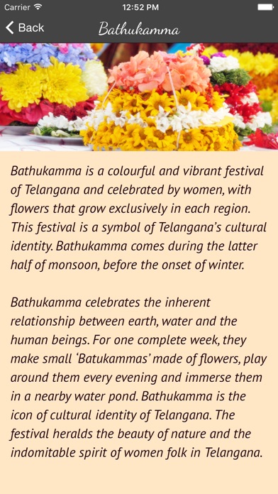 Bathukamma - Floral Festival screenshot 2