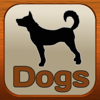 Raças de cães. Veterinária - Sand Apps Inc.