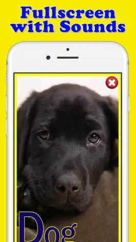 Game screenshot Play & Learn Animal Flashcards apk