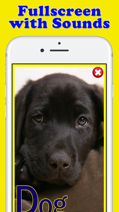 Screenshot #2 pour Play & Learn Animal Flashcards