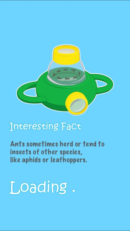 Bug-a-boo screenshot-3