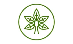 Yoga Daily Video app icon