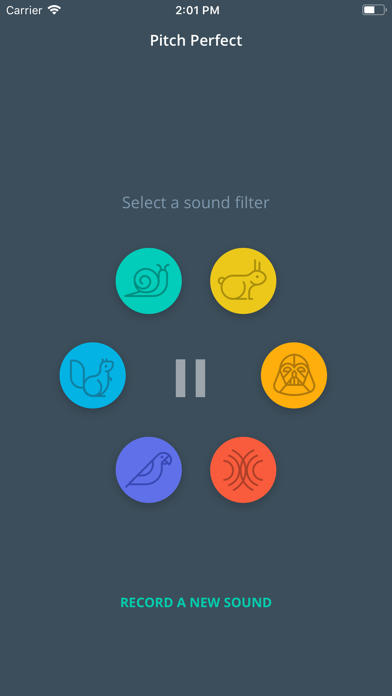 Screenshot #1 pour Pitch Perfect Portfolio App