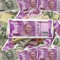 Here is a new app Indian Note Photo Frames, which gives you an opportunity to set a photo frame of the Indian rupee note