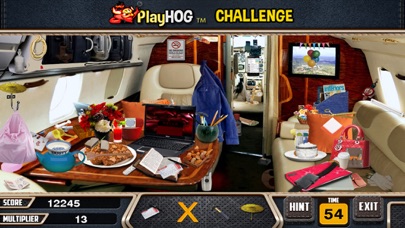 Screenshot #1 pour Private Jet - Hidden Objects