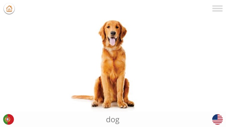 Baby Learn - PORTUGUESE