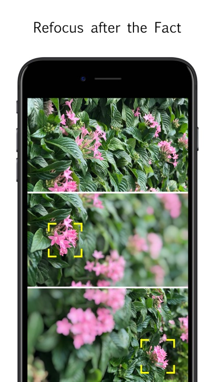 Focos screenshot-1