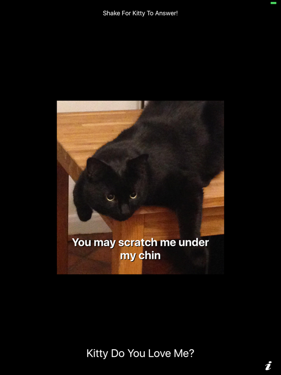 Screenshot #6 pour Kitty Do You Love Me?