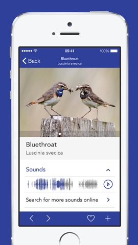 iKnow Birds PRO - USAのおすすめ画像3