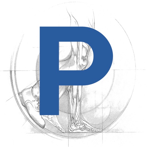 Paragon Orthotics Rx Form icon