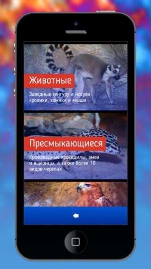 Animal Park Алушта(圖2)-速報App