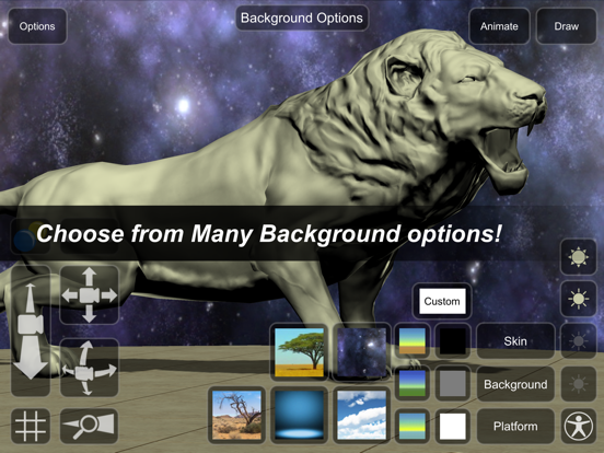 Lion Mannequin iPad screenshot 7 - Education app