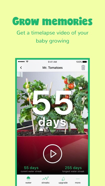 Happy Plant - No Water Thirst