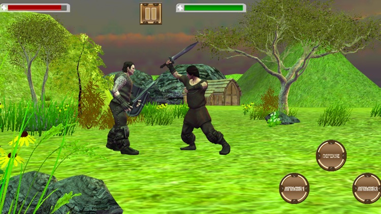 Shadow Sword Fight Simulator screenshot-3