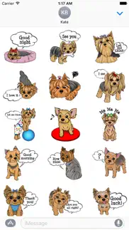 yorkshire terrier dog dogmoji problems & solutions and troubleshooting guide - 3