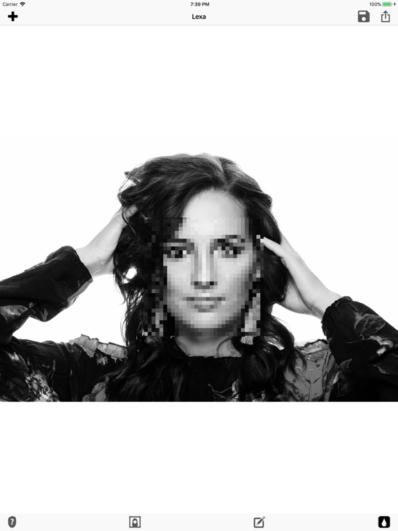 Lexa iPad screenshot 5 - Photo & Video app