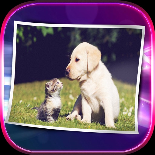 Pets Wallpaper Cats Dogs icon