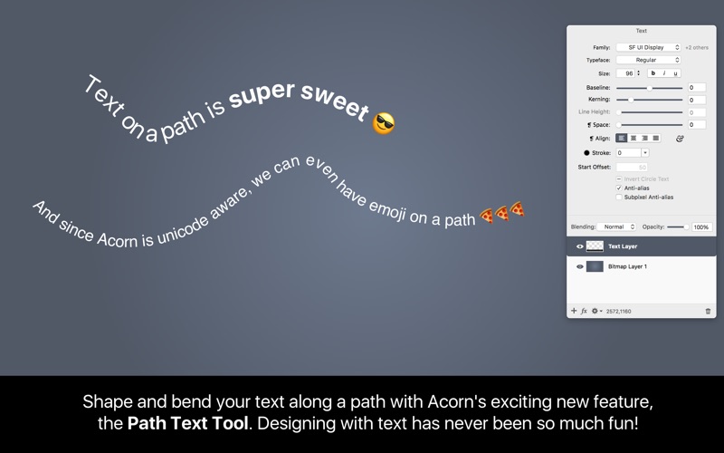 Acorn_6_Image_Editor.app caprure 5 5_Acorn_6_Image_Editor.jpg