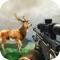 BIG Wilder Animal Hunting 3D