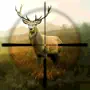 Hunting Simulator