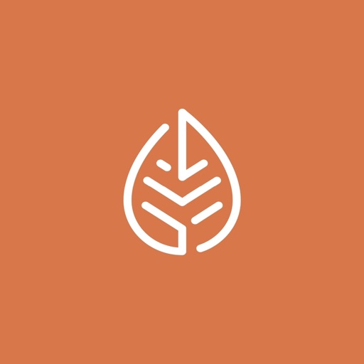 Life Church Orange icon