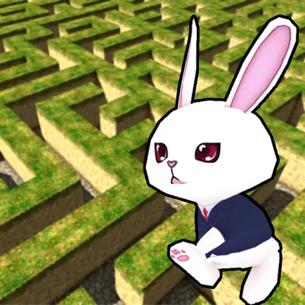 Rabbit explore the 3D maze!! Читы