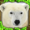 Polar Bear Simulator icon