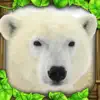 Polar Bear Simulator Positive Reviews, comments