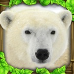 Download Polar Bear Simulator app