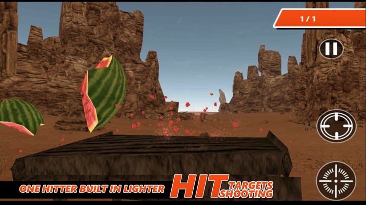 Hit Targets Shooting