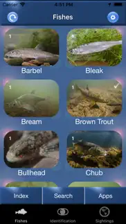 fish id - freshwater fish uk iphone screenshot 1