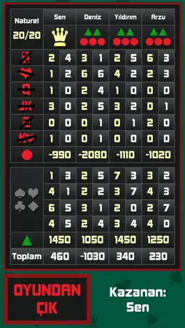 Game screenshot King Kart Oyunu hack