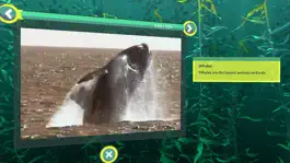 Game screenshot PI VR Oceans apk